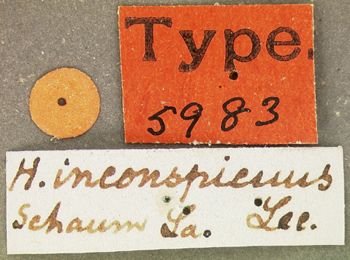 Media type: image;   Entomology 5983 Aspect: labels